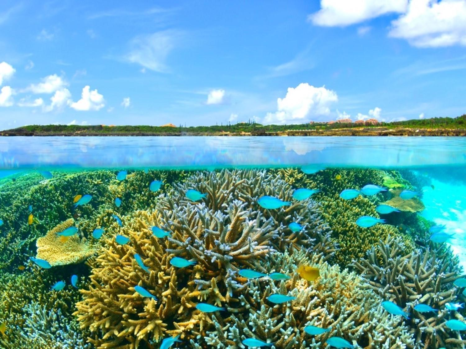 Hotel Shigira Mirage Miyakojima  Bagian luar foto