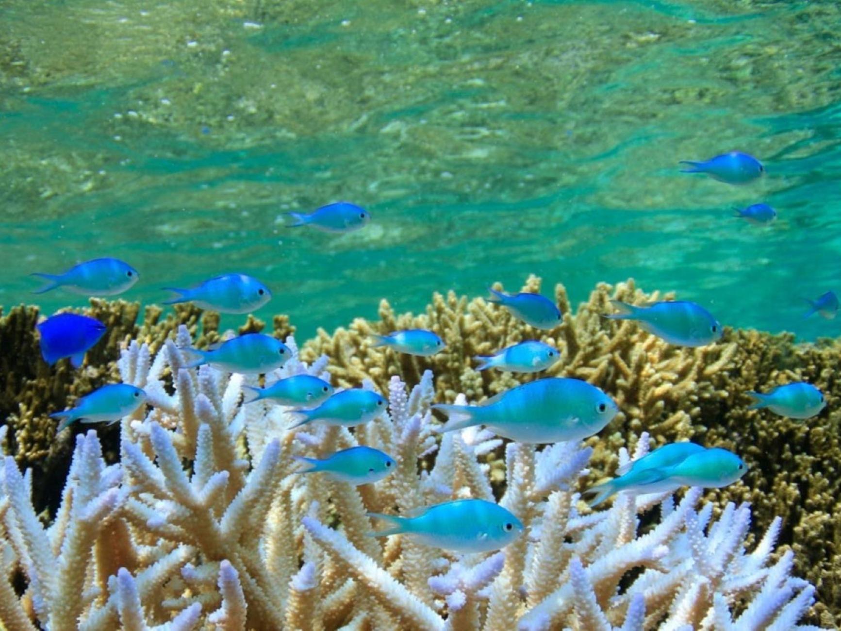 Hotel Shigira Mirage Miyakojima  Bagian luar foto